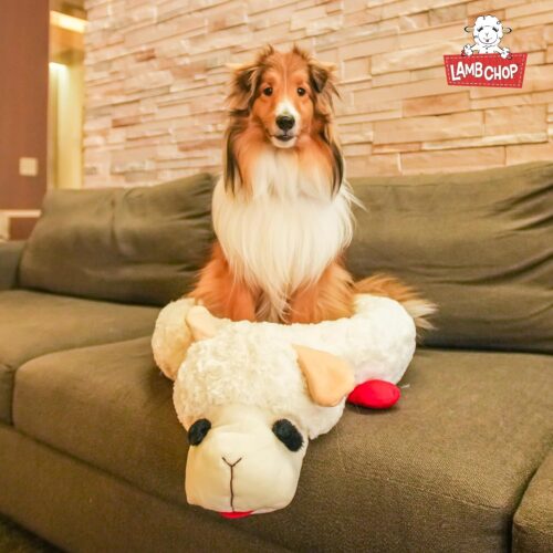 Multipet Lamb Chop Dog Plush Toy - Squeaky Toy for All Dogs - Extra Soft Plush - Stuffed Animal Dog Toy for Cuddling & Playing - Cute Pet Toy (6", Cream) - Image 43