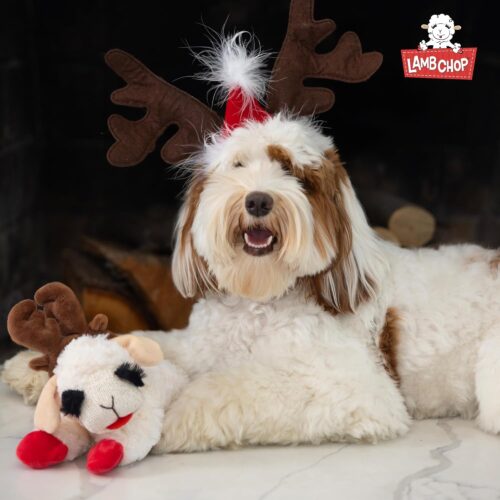 Multipet Lamb Chop Dog Plush Toy - Squeaky Toy for All Dogs - Extra Soft Plush - Stuffed Animal Dog Toy for Cuddling & Playing - Cute Pet Toy (6", Cream) - Image 80