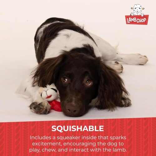 Multipet Lamb Chop Dog Plush Toy - Squeaky Toy for All Dogs - Extra Soft Plush - Stuffed Animal Dog Toy for Cuddling & Playing - Cute Pet Toy (6", Cream) - Image 93