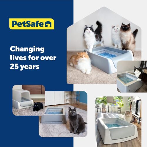 PetSafe ScoopFree Premium Crystal Cat Litter - Outperforms Clay Litter - Less Tracking, Dust for A Fresh Home - Non-Clumping - Two 4.3 lb Bags of Litter (8.6 lb Total) - Original Blue - Image 7