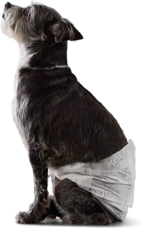 Amazon Basics Male Dog Diapers, 30 Count, Small, Ultra Absorbent Disposable Wrap with Secure Fit, Leakproof and Comfortable