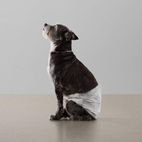 Amazon Basics Male Dog Diapers, 30 Count, Small, Ultra Absorbent Disposable Wrap with Secure Fit, Leakproof and Comfortable - Image 7