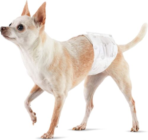 Amazon Basics Male Dog Diapers, 30 Count, Small, Ultra Absorbent Disposable Wrap with Secure Fit, Leakproof and Comfortable - Image 17