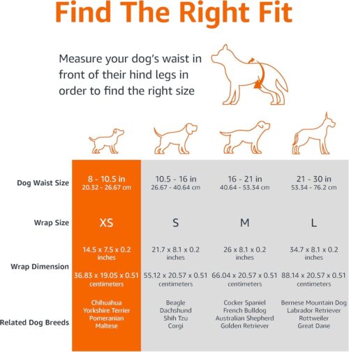 Amazon Basics Male Dog Diapers, 30 Count, Small, Ultra Absorbent Disposable Wrap with Secure Fit, Leakproof and Comfortable - Image 20