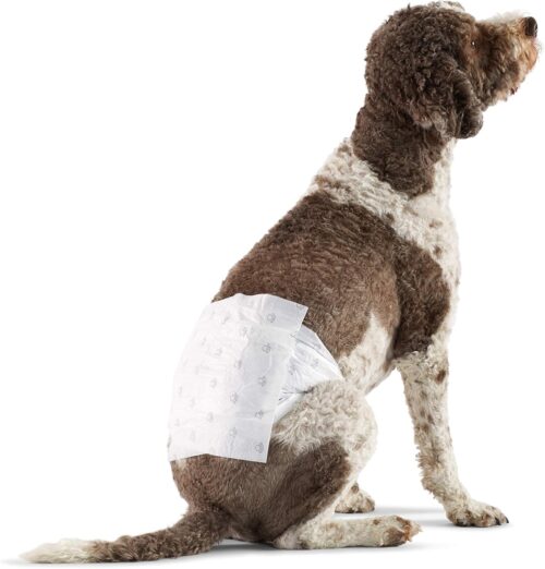 Amazon Basics Male Dog Diapers, 30 Count, Small, Ultra Absorbent Disposable Wrap with Secure Fit, Leakproof and Comfortable - Image 24