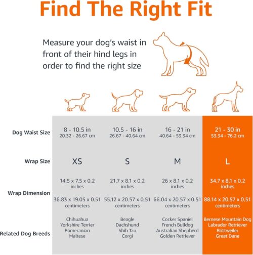 Amazon Basics Male Dog Diapers, 30 Count, Small, Ultra Absorbent Disposable Wrap with Secure Fit, Leakproof and Comfortable - Image 27