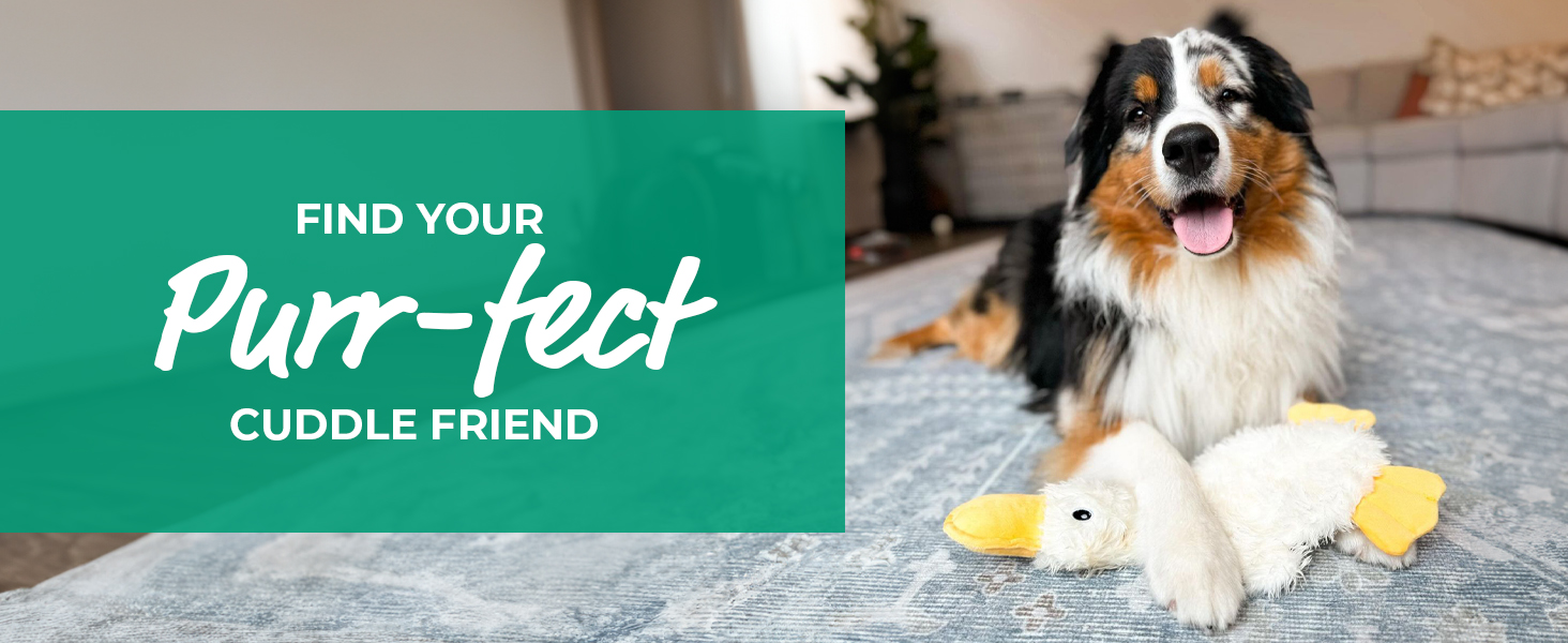 Crinkle Dog Toy