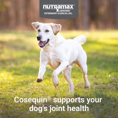 Nutramax Laboratories Cosequin Maximum Strength Joint Health Supplement for Dogs - With Glucosamine, Chondroitin, and MSM, 132 Chewable Tablets - Image 3