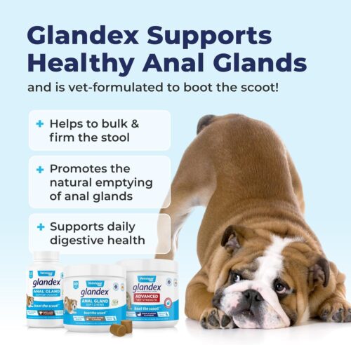 Vetnique Labs Glandex Anal Gland Soft Chew Treats with Pumpkin for Dogs Digestive Enzymes, Probiotics Fiber Supplement for Dogs Boot The Scoot (Peanut Butter Chews, 60 Count) - Image 4