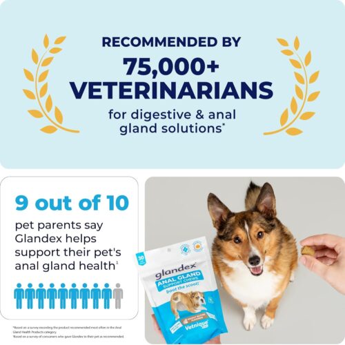 Vetnique Labs Glandex Anal Gland Soft Chew Treats with Pumpkin for Dogs Digestive Enzymes, Probiotics Fiber Supplement for Dogs Boot The Scoot (Peanut Butter Chews, 60 Count) - Image 5