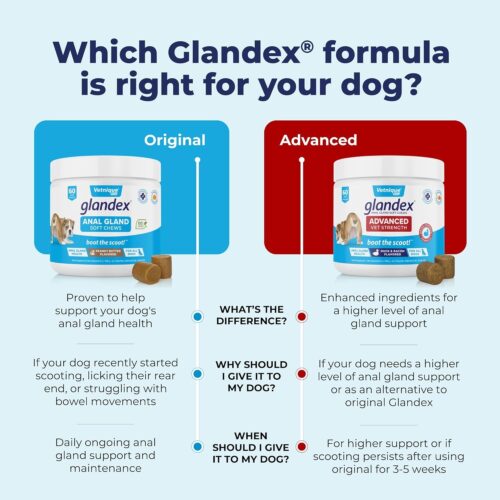 Vetnique Labs Glandex Anal Gland Soft Chew Treats with Pumpkin for Dogs Digestive Enzymes, Probiotics Fiber Supplement for Dogs Boot The Scoot (Peanut Butter Chews, 60 Count) - Image 8