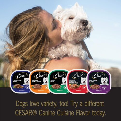 CESAR Adult Wet Dog Food Classic Loaf in Sauce Grilled Chicken, Filet Mignon, Porterhouse Steak, Beef, Chicken & Liver and Turkey Variety Pack, 3.5 oz. Easy Peel Trays, Pack of 36 - Image 29