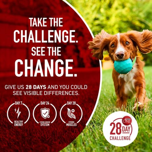 Purina ONE Dry Dog Food Lamb and Rice Formula - 31.1 lb. Bag - Image 27