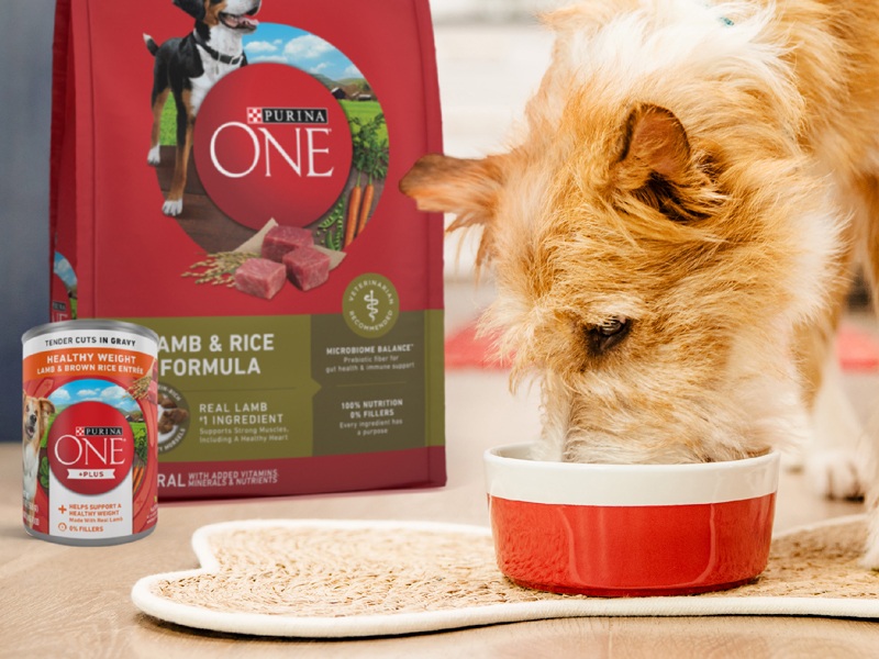 A photo of a dog eating it's Purina ONE dog food