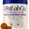 PetLab Co. Probiotics for Dogs, Support Gut Health, Occasional Diarrhea, Digestive Health & Seasonal Allergies - Pork Flavor - 30 Soft Chews - Packaging May Vary