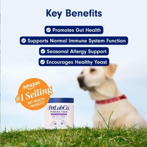 PetLab Co. Probiotics for Dogs, Support Gut Health, Occasional Diarrhea, Digestive Health & Seasonal Allergies - Pork Flavor - 30 Soft Chews - Packaging May Vary - Image 10
