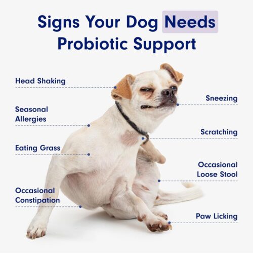 PetLab Co. Probiotics for Dogs, Support Gut Health, Occasional Diarrhea, Digestive Health & Seasonal Allergies - Pork Flavor - 30 Soft Chews - Packaging May Vary - Image 26