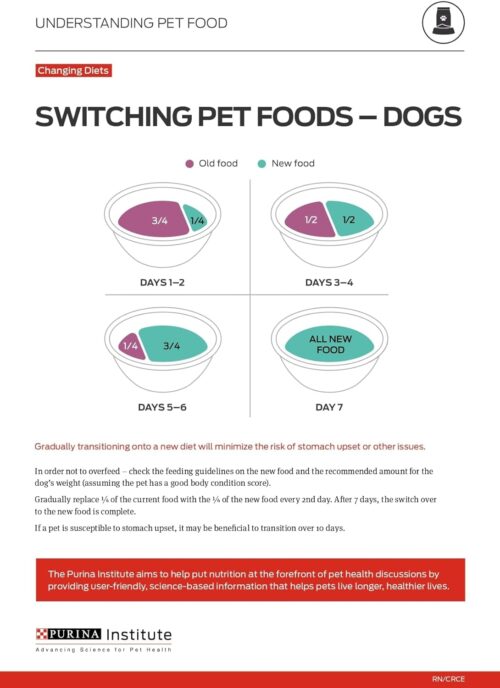 Purina Pro Plan Sensitive Skin and Stomach Dog Food Dry, Adult Salmon & Rice Formula, Digestive Health - 30 lb. Bag - Image 23