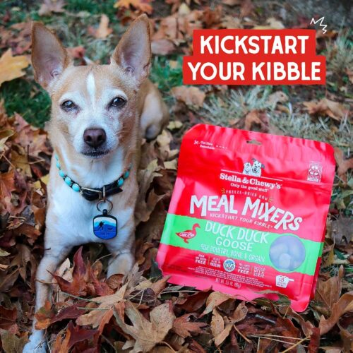 Stella & Chewy's Freeze-Dried Raw Chicken Meal Mixers- Dog Food Topper and Mixer - Made with 95% Cage-Free Chicken, Organs & Bone - Perfect for Picky Eaters - Grain-Free - 3.5oz - Image 55
