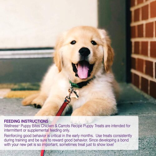 Wellness Puppy Treats, Natural, Training Treat, Grain Free, Soft Lamb & Salmon (8 Ounce Bag) - Image 11