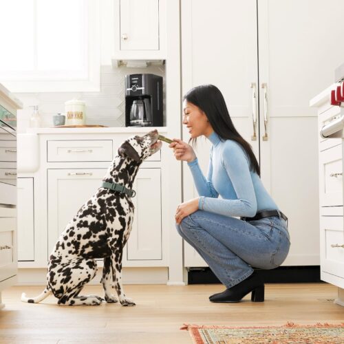 Greenies Original Large Natural Dental Care Dog Treats, 36 oz. Pack (24 Treats) - Image 21