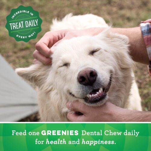 Greenies Original Large Natural Dental Care Dog Treats, 36 oz. Pack (24 Treats) - Image 40