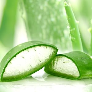 pet md ear wipes aloe vera and eucalyptus for dogs