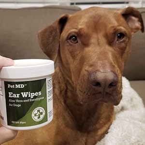 pet md ear wipes aloe vera and eucalyptus for dogs