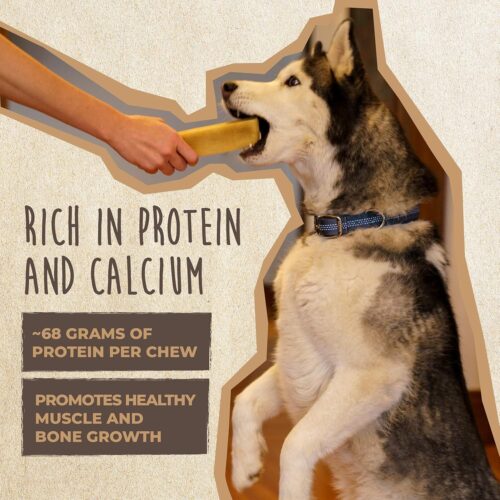 Mighty Paw Yak Cheese Dog Chews - All-Natural Treats for Dogs - High Protein Treat With 68 Grams Of Protein Per Chew - Delicious And Long Lasting - Odor Free With Limited Ingredients - (Large, 4 Pack) - Image 37