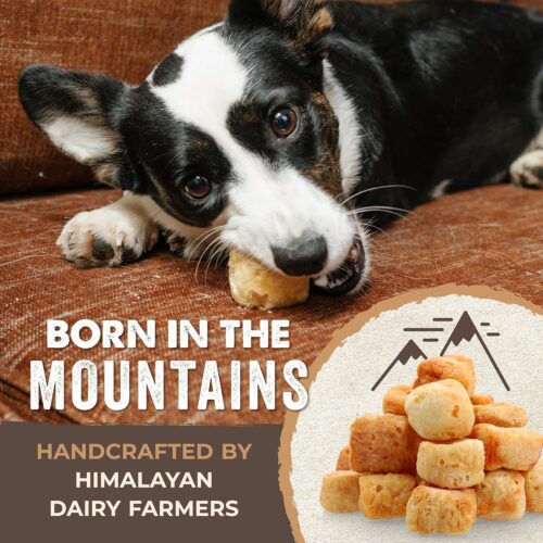 Mighty Paw Yak Cheese Dog Chews - All-Natural Treats for Dogs - High Protein Treat With 68 Grams Of Protein Per Chew - Delicious And Long Lasting - Odor Free With Limited Ingredients - (Large, 4 Pack) - Image 47