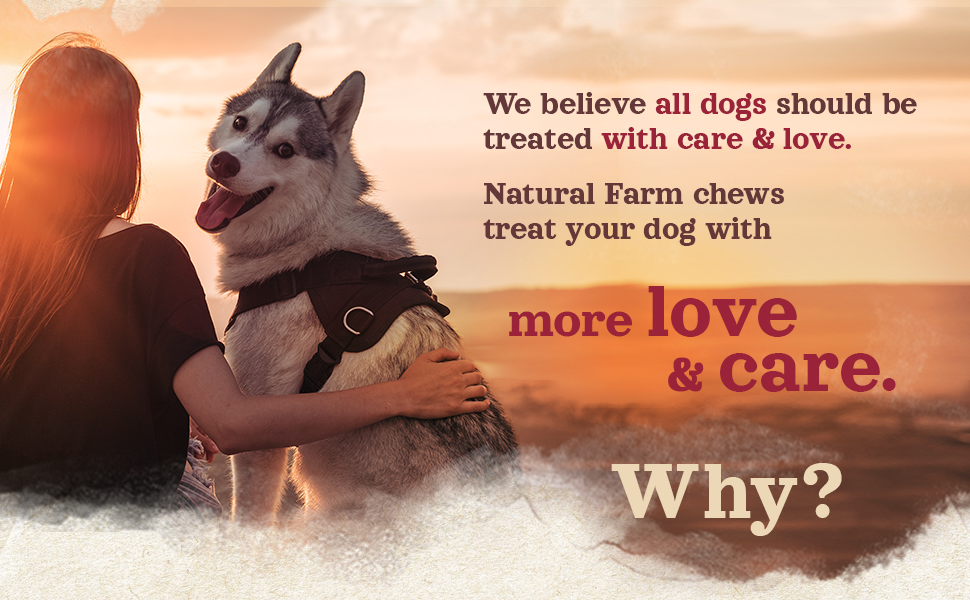 A woman and a husky. The dog is looking towards the camera.
