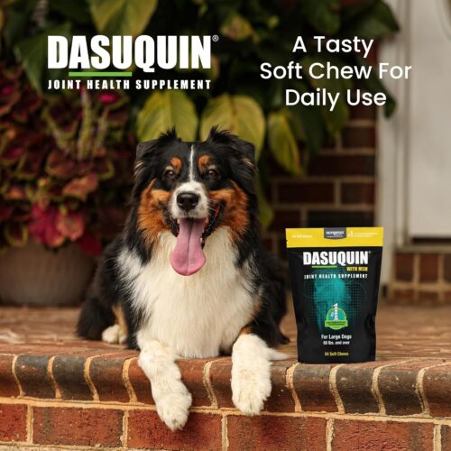Nutramax Laboratories Dasuquin with MSM Joint Health Supplement for Large Dogs - With Glucosamine, MSM, Chondroitin, ASU, Boswellia Serrata Extract, and Green Tea Extract, 84 Soft Chews - Image 4