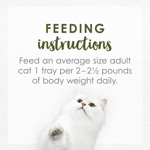Purina Fancy Feast Seafood Classic Pate Collection Grain Free Wet Cat Food Variety Pack - (Pack of 30) 3 oz. Cans - Image 174