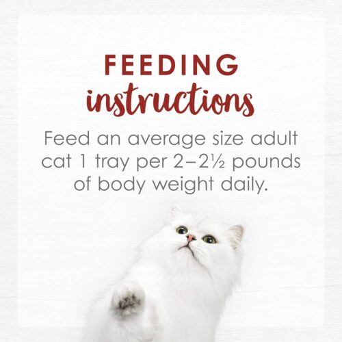 Purina Fancy Feast Seafood Classic Pate Collection Grain Free Wet Cat Food Variety Pack - (Pack of 30) 3 oz. Cans - Image 222