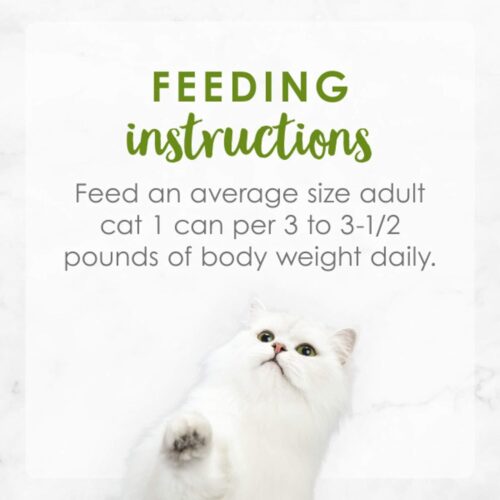 Purina Fancy Feast Seafood Classic Pate Collection Grain Free Wet Cat Food Variety Pack - (Pack of 30) 3 oz. Cans - Image 232