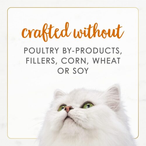 Purina Fancy Feast Seafood Classic Pate Collection Grain Free Wet Cat Food Variety Pack - (Pack of 30) 3 oz. Cans - Image 297