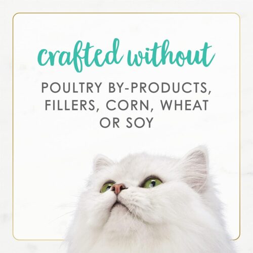 Purina Fancy Feast Seafood Classic Pate Collection Grain Free Wet Cat Food Variety Pack - (Pack of 30) 3 oz. Cans - Image 304