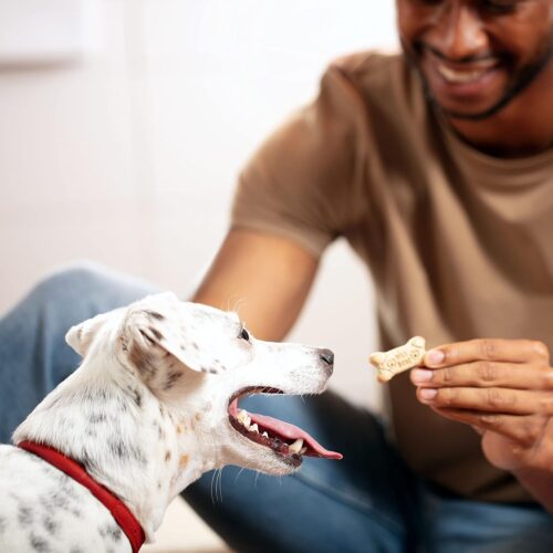 Milk-Bone Original Dog Treats Biscuits for Medium Dogs, 10 Pound - Image 6