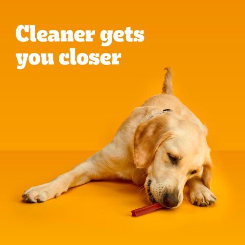PEDIGREE DENTASTIX Large Dog Dental Care Treats Original, Beef & Fresh Variety Pack, 2.73 lb.Pack (51 Treats) - Image 18