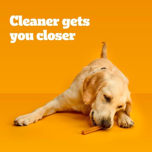 PEDIGREE DENTASTIX Large Dog Dental Care Treats Original, Beef & Fresh Variety Pack, 2.73 lb.Pack (51 Treats) - Image 25