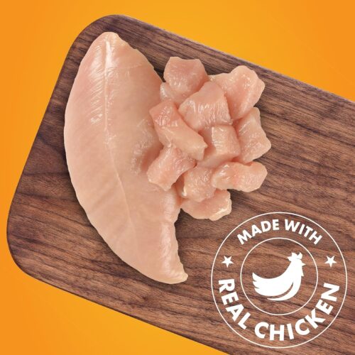Dog Treats, Chicken Jerky for Dogs, Made with 100% Real Chicken Breast, 16 Ounces, Healthy, Easily Digestible, Long-Lasting, High Protein Dog Treat, Satisfies Dog's Urge to Chew (Pack of 1) - Image 5