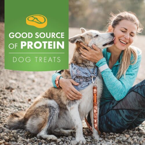 Dog Treats, Chicken Jerky for Dogs, Made with 100% Real Chicken Breast, 16 Ounces, Healthy, Easily Digestible, Long-Lasting, High Protein Dog Treat, Satisfies Dog's Urge to Chew (Pack of 1) - Image 15