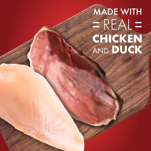 Dog Treats, Chicken Jerky for Dogs, Made with 100% Real Chicken Breast, 16 Ounces, Healthy, Easily Digestible, Long-Lasting, High Protein Dog Treat, Satisfies Dog's Urge to Chew (Pack of 1) - Image 20