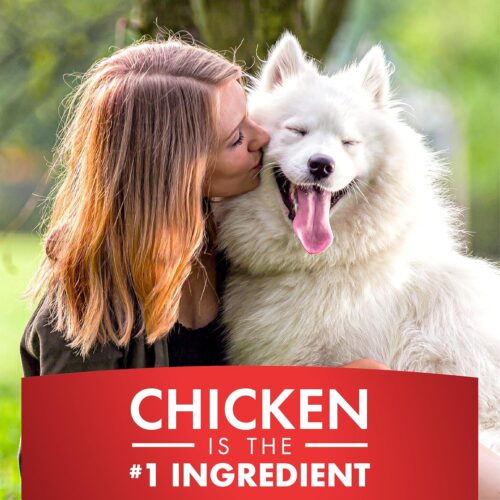 Dog Treats, Chicken Jerky for Dogs, Made with 100% Real Chicken Breast, 16 Ounces, Healthy, Easily Digestible, Long-Lasting, High Protein Dog Treat, Satisfies Dog's Urge to Chew (Pack of 1) - Image 21