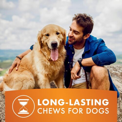 Dog Treats, Chicken Jerky for Dogs, Made with 100% Real Chicken Breast, 16 Ounces, Healthy, Easily Digestible, Long-Lasting, High Protein Dog Treat, Satisfies Dog's Urge to Chew (Pack of 1) - Image 30