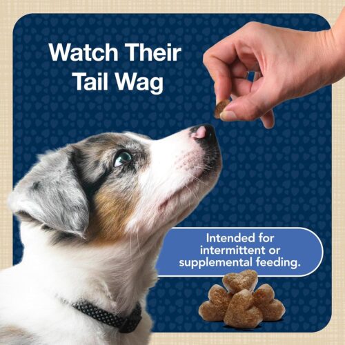 Blue Buffalo Bits Soft Dog Treats for Training, Made With Natural Ingredients & Enhanced with DHA, Chicken Recipe, 19-oz Bag - Image 53