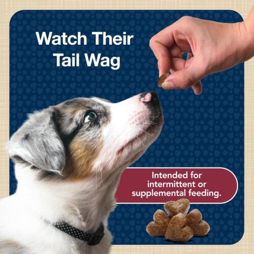 Blue Buffalo Bits Soft Dog Treats for Training, Made With Natural Ingredients & Enhanced with DHA, Chicken Recipe, 19-oz Bag - Image 62