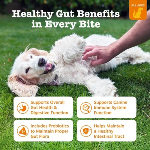 Zesty Paws Probiotics for Dogs - Digestive Enzymes for Gut Flora, Digestive Health, Diarrhea & Bowel Support - Clinically Studied DE111 - Dog Supplement Soft Chew for Pet Immune System - Pumpkin - Image 2