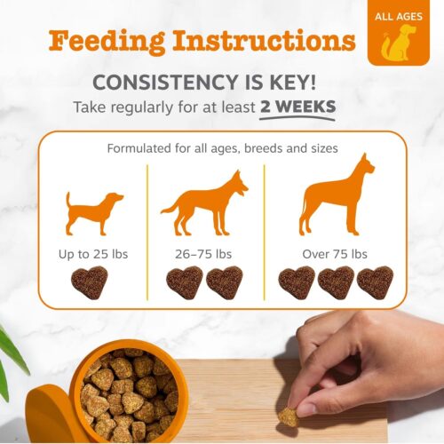 Zesty Paws Probiotics for Dogs - Digestive Enzymes for Gut Flora, Digestive Health, Diarrhea & Bowel Support - Clinically Studied DE111 - Dog Supplement Soft Chew for Pet Immune System - Pumpkin - Image 4