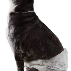 Amazon Basics Male Dog Diapers, 30 Count, Small, Ultra Absorbent Disposable Wrap with Secure Fit, Leakproof and Comfortable